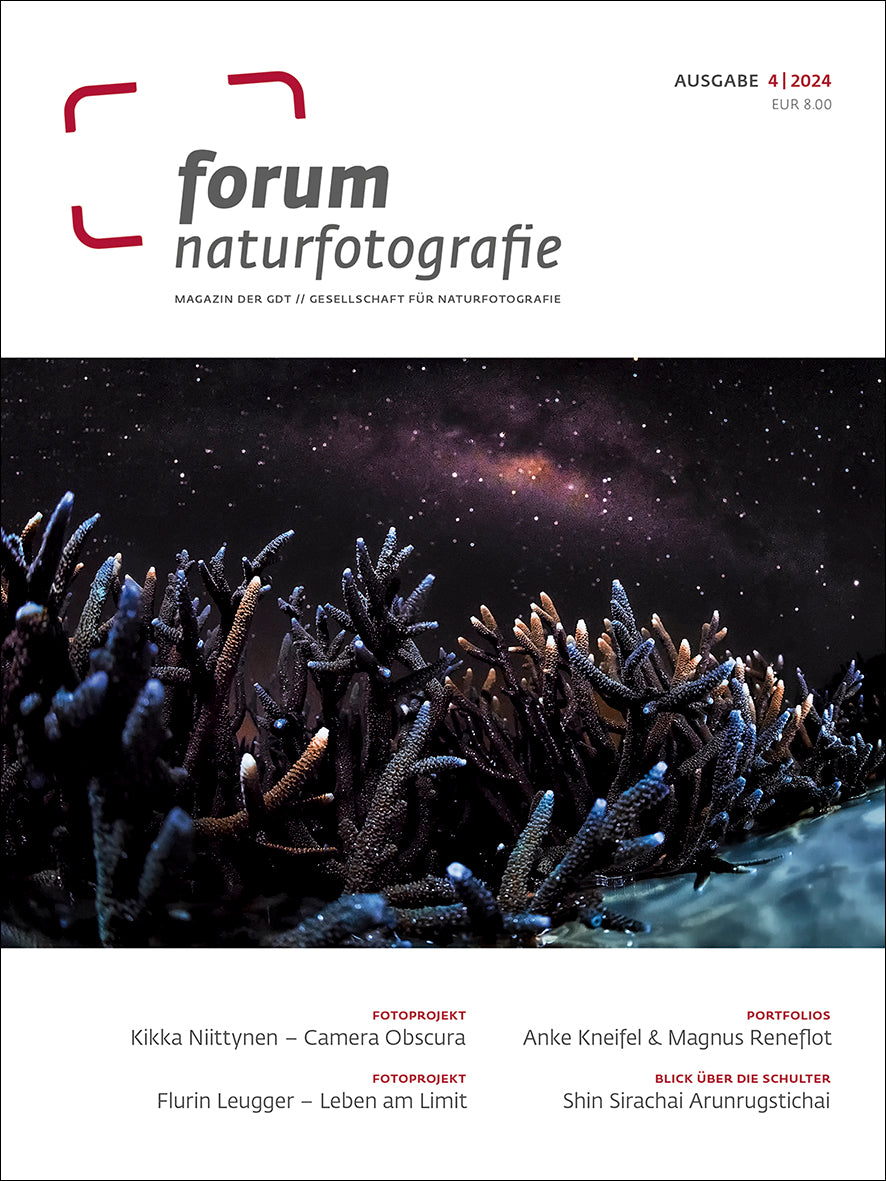 forum naturfotografie 4/2024